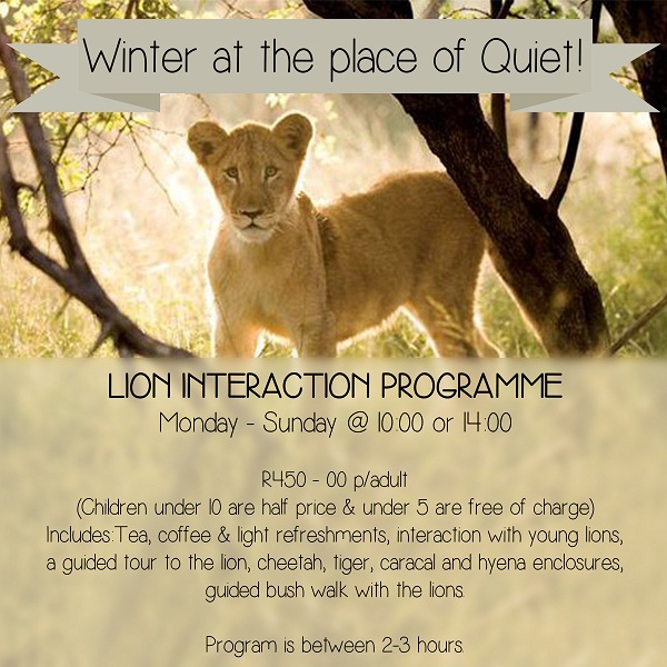 Lion Interaction Programme